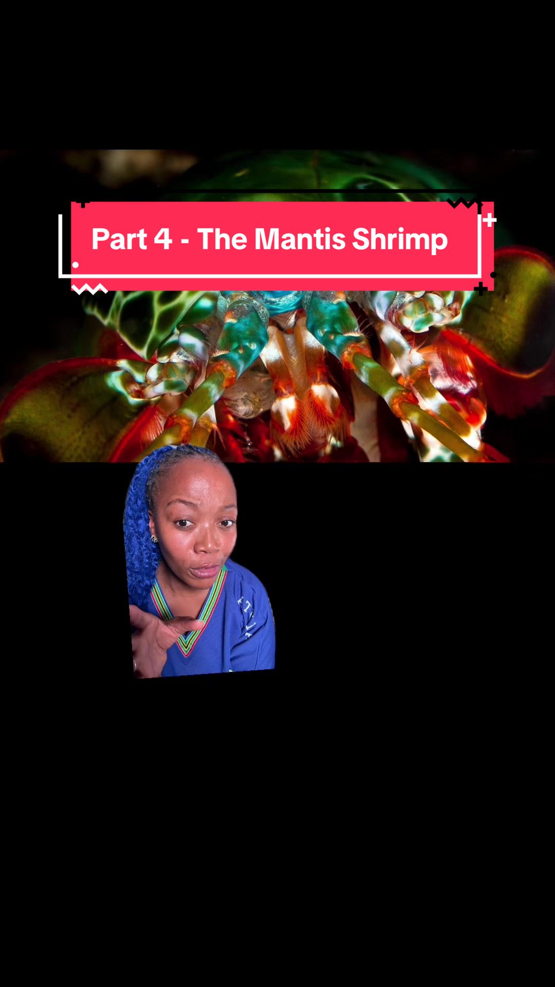 @The Black Mermaid