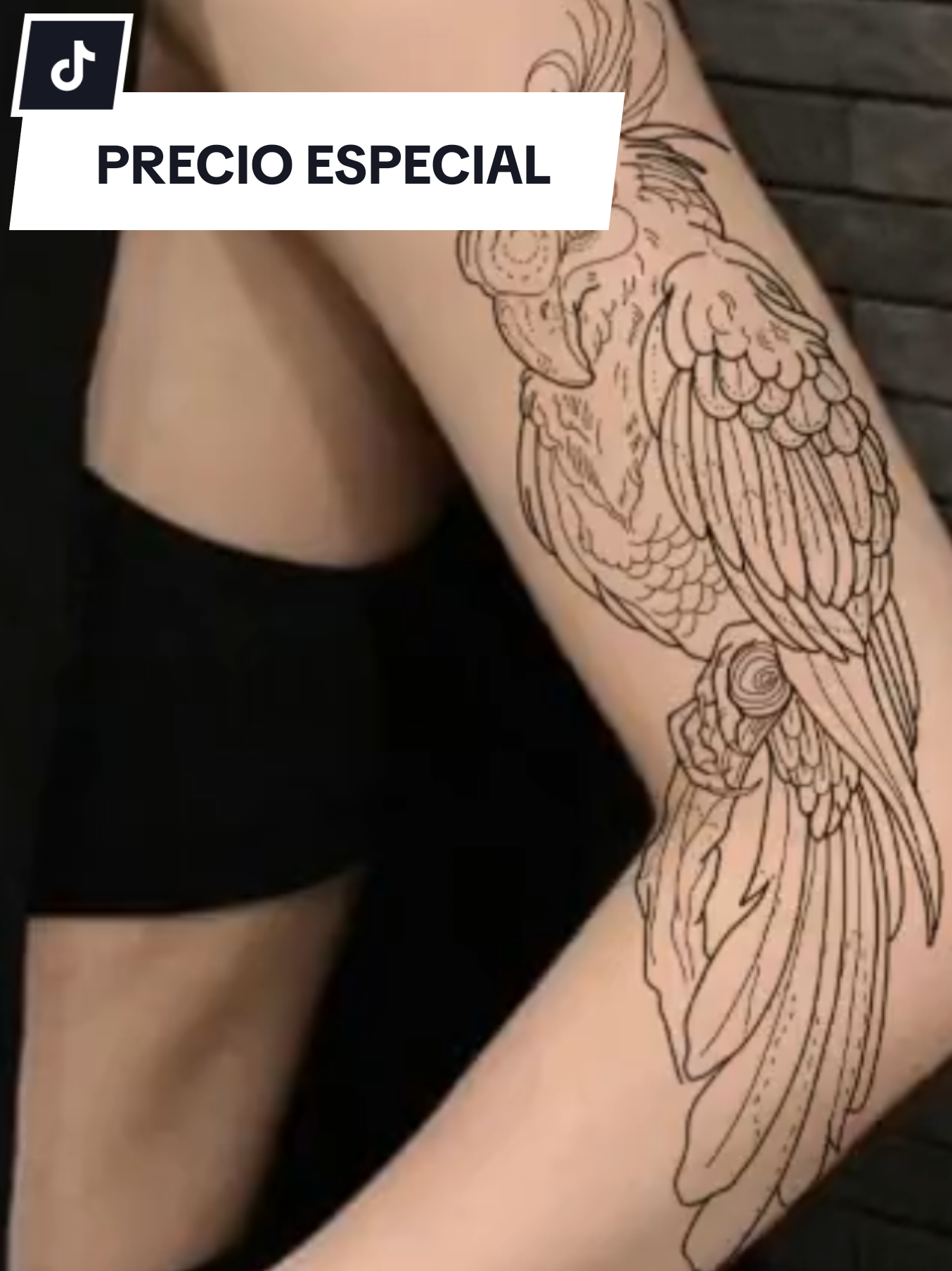 @Rojo RC