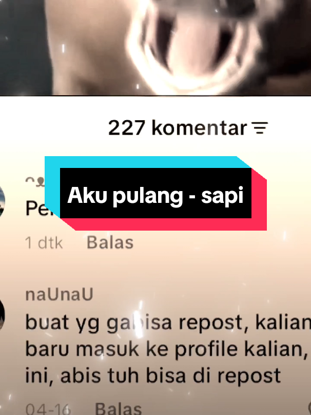 @ᴖᴥᴖ