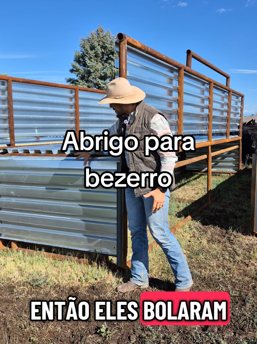 @Olavo Franco Bottino