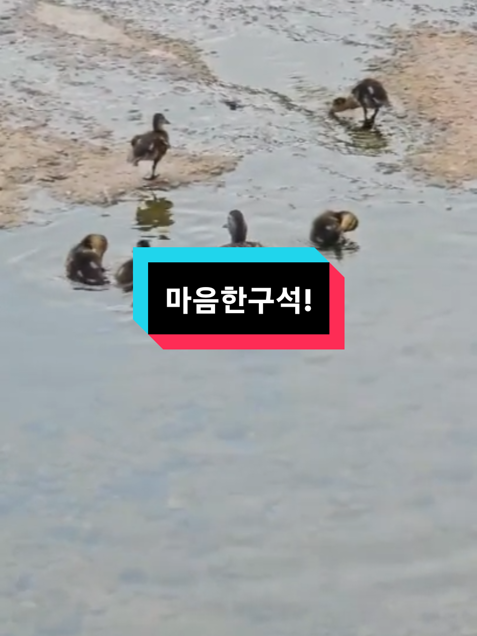 @비엘라_까사🏡