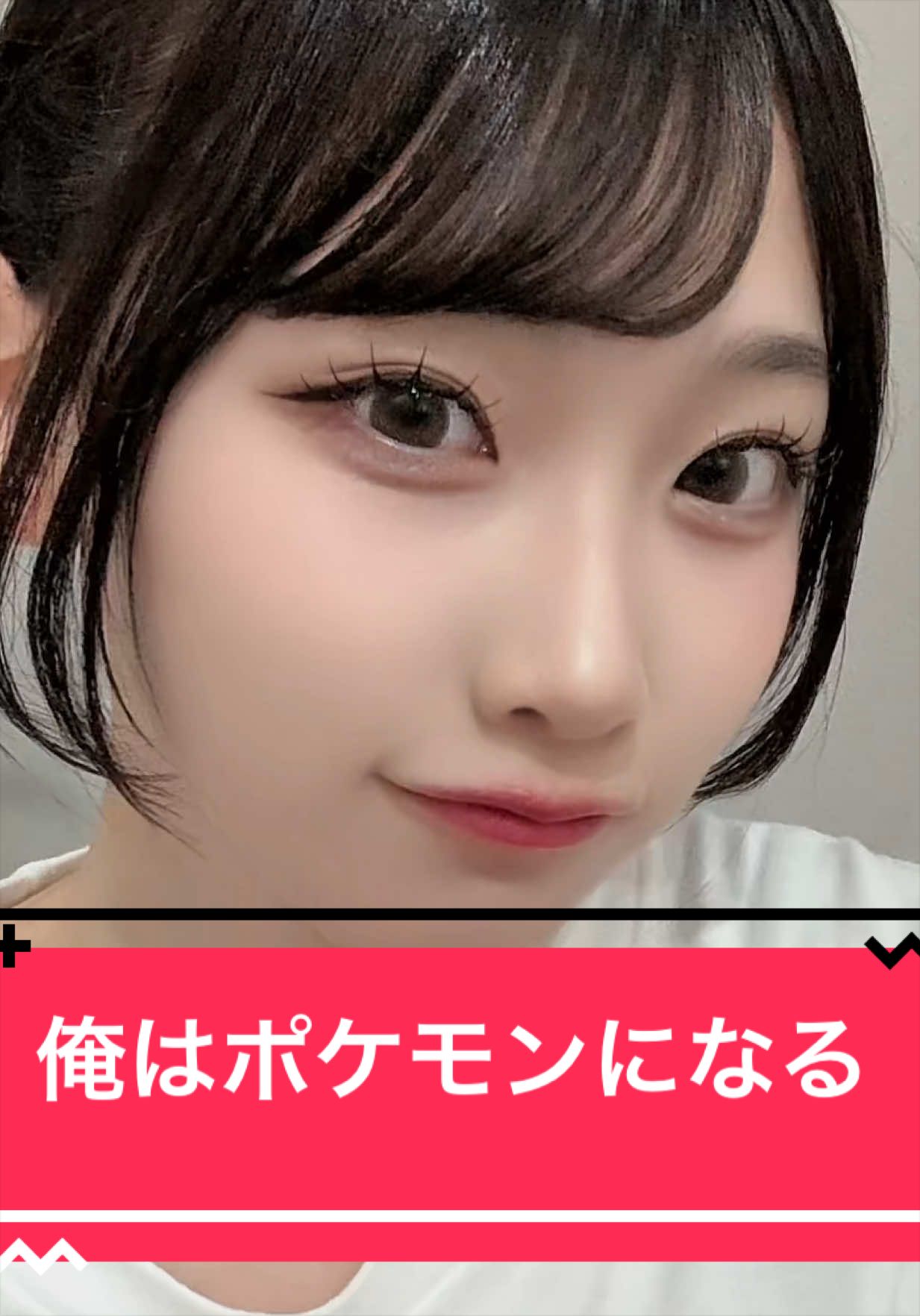 @せんしゅちゃん