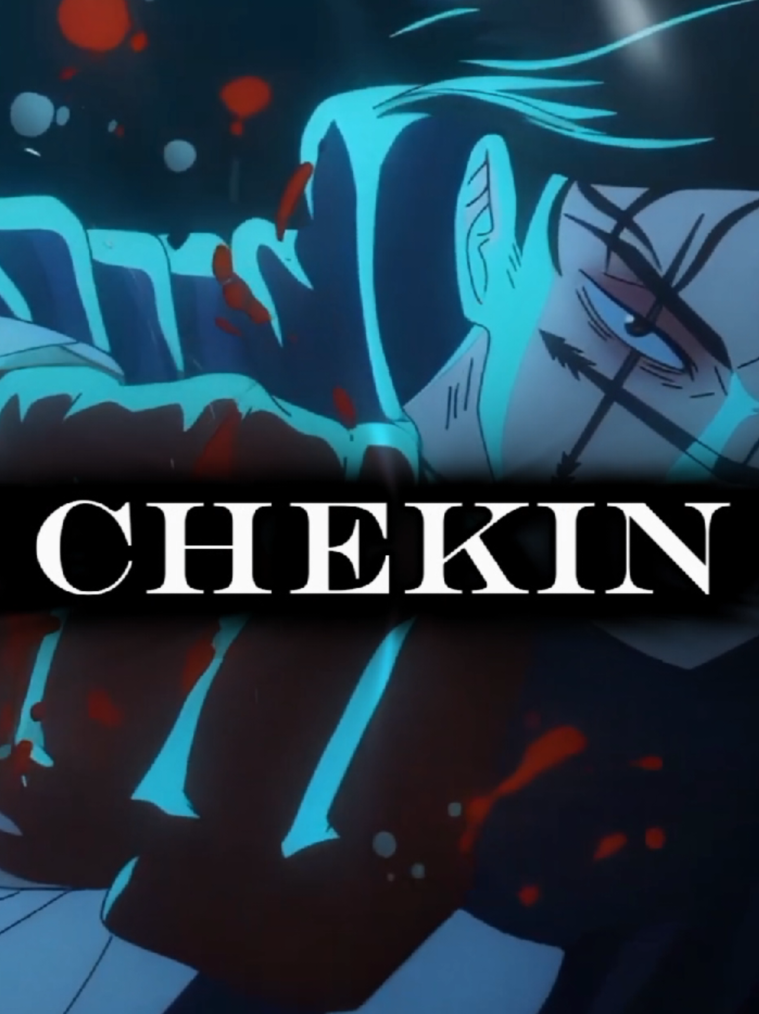 @CHEK1N