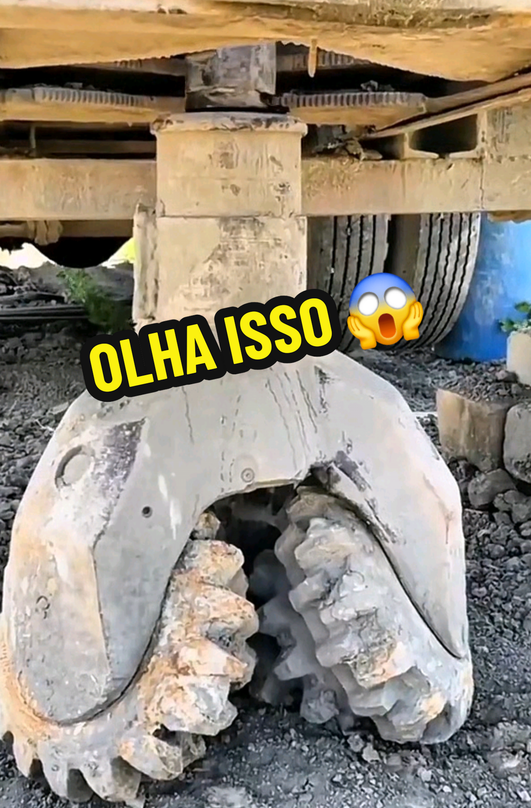 @RAIZ DO SABER