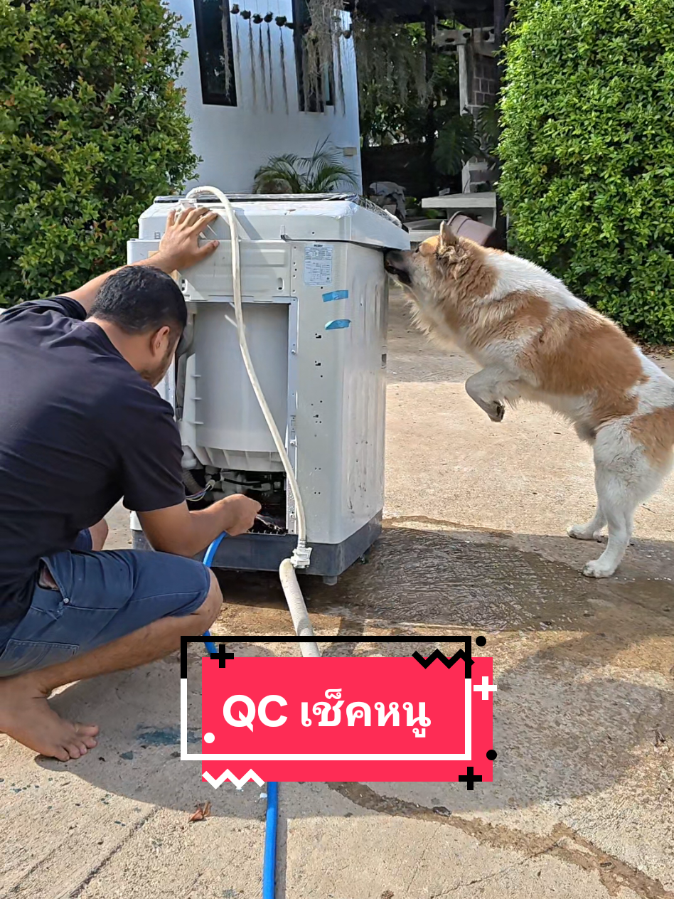@หลิวหลิว แม่พี่ธอร์