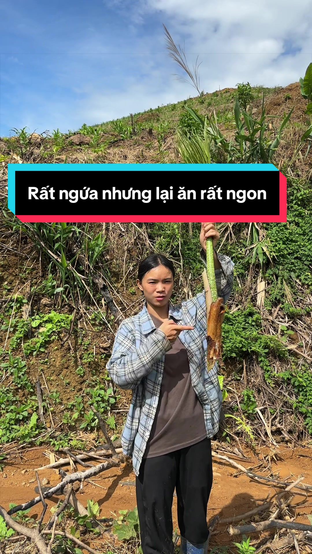 @Nhi Dao Đỏ