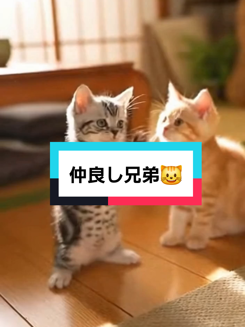 @AI動物園園長