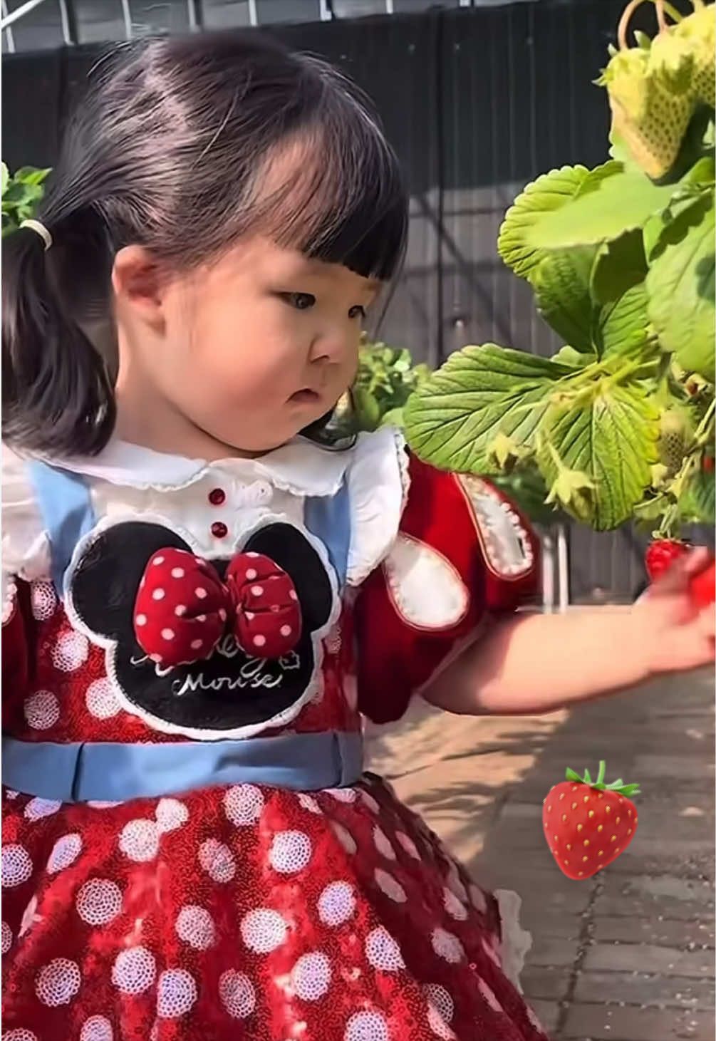 @tao.core