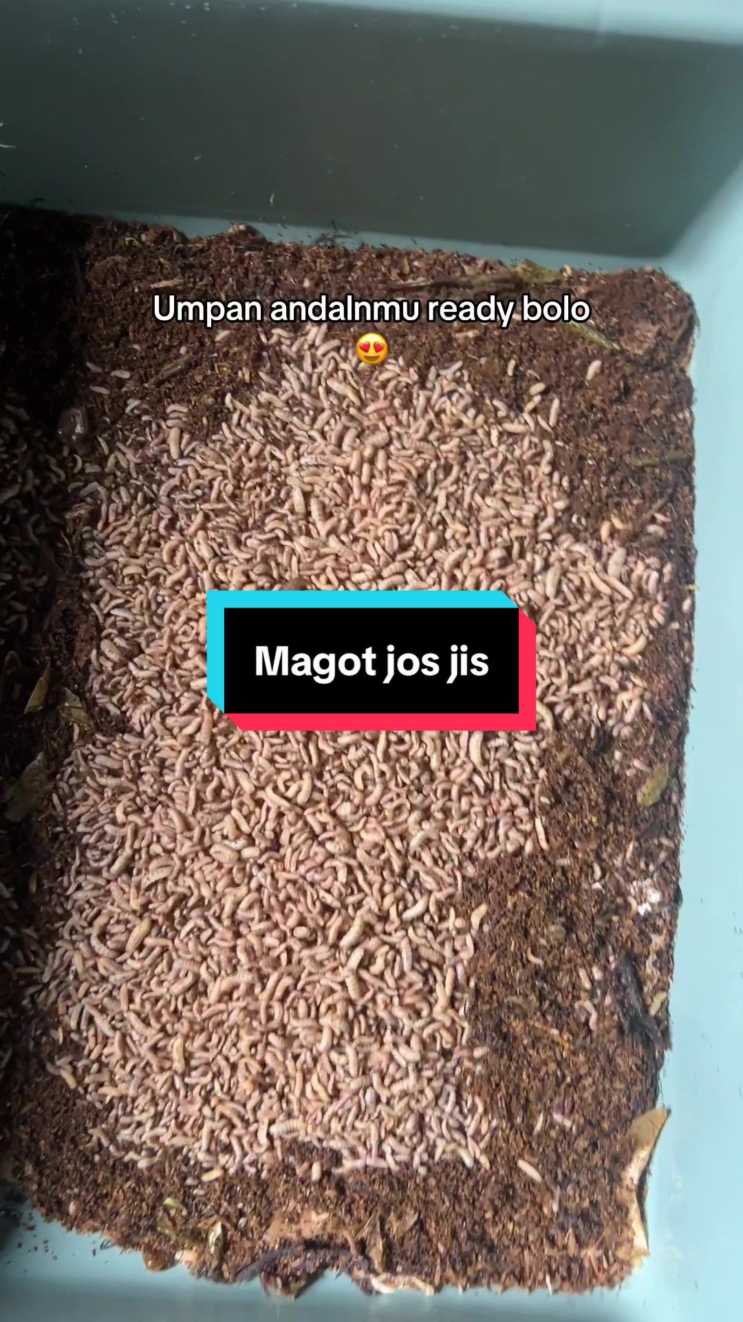 @unclemancing