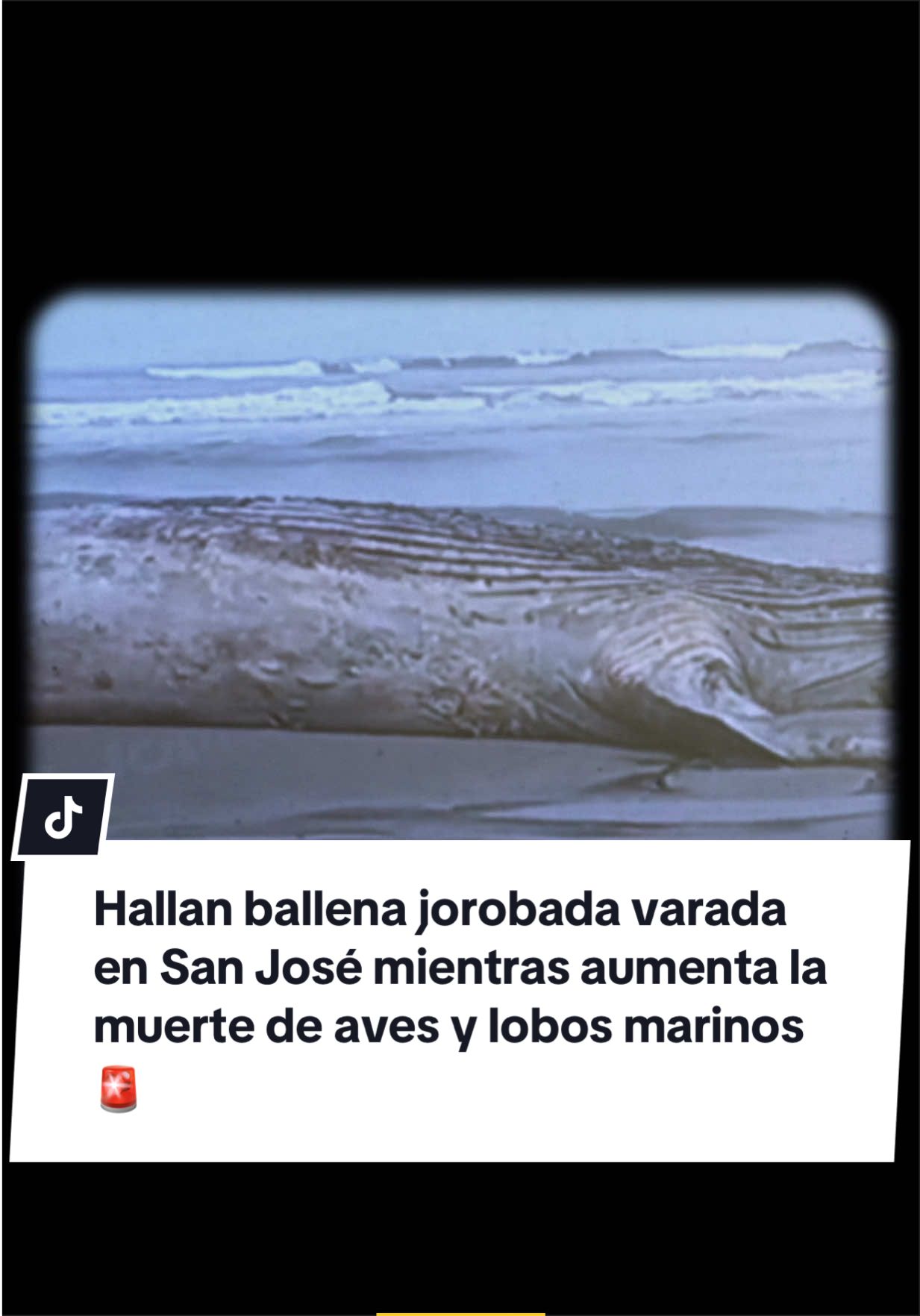 @Diario El Comercio