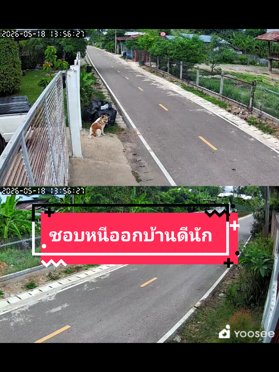 @หลิวหลิว แม่พี่ธอร์