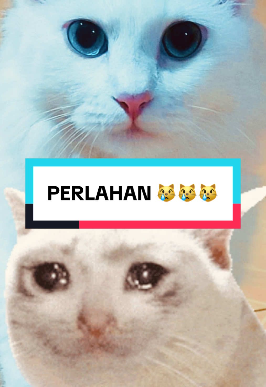 @Memey Sky
