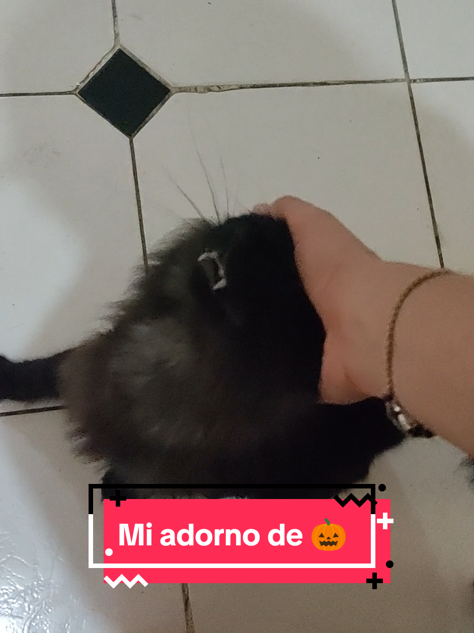 @coslune