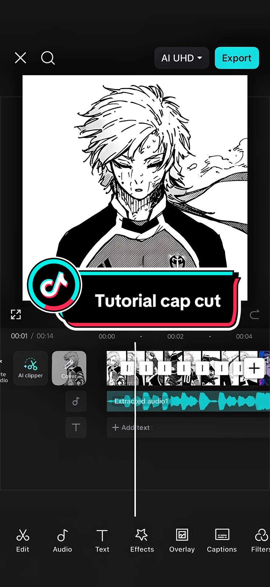 @GEN_Z [CAPCUT]