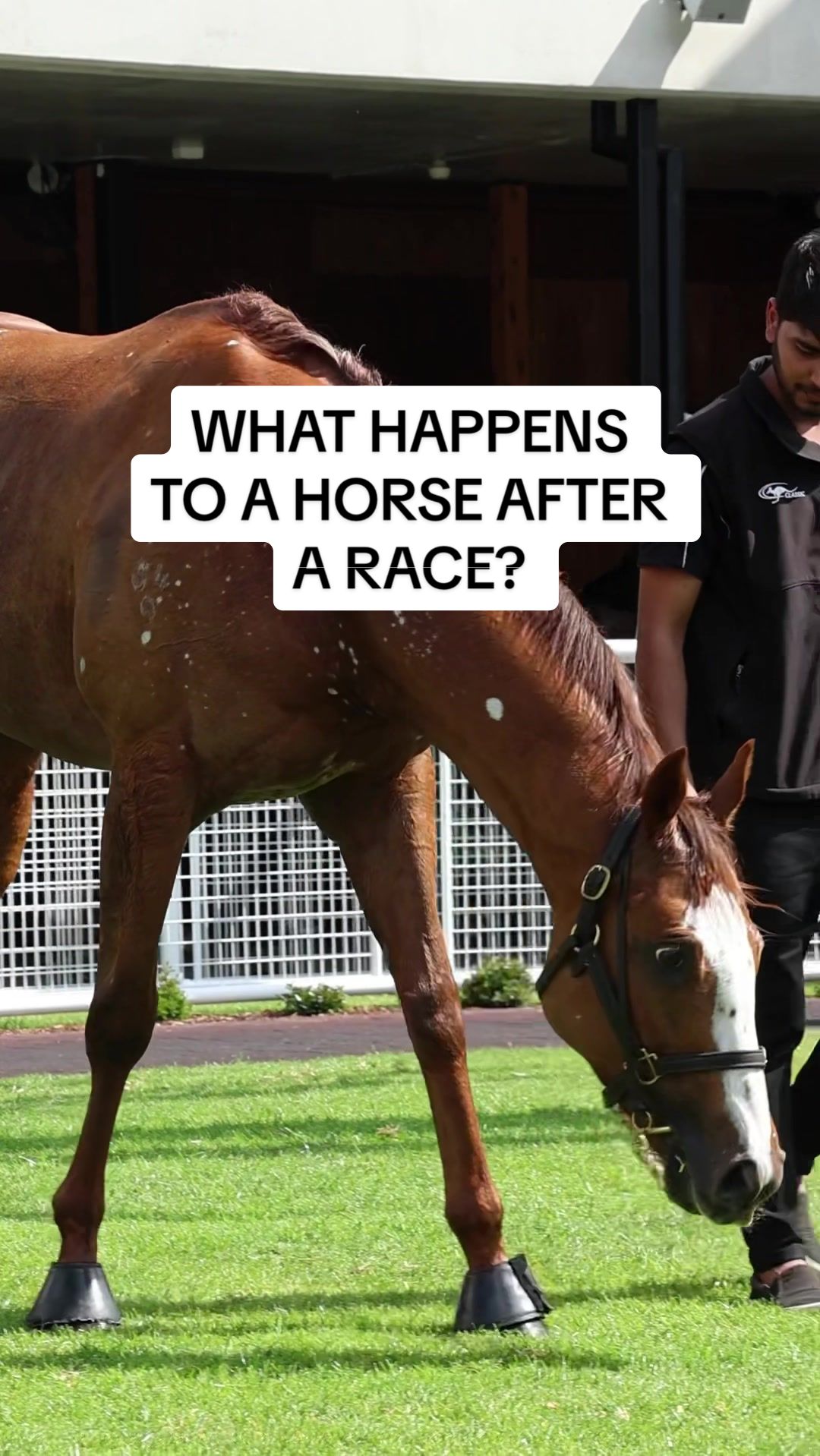 @Racing Victoria