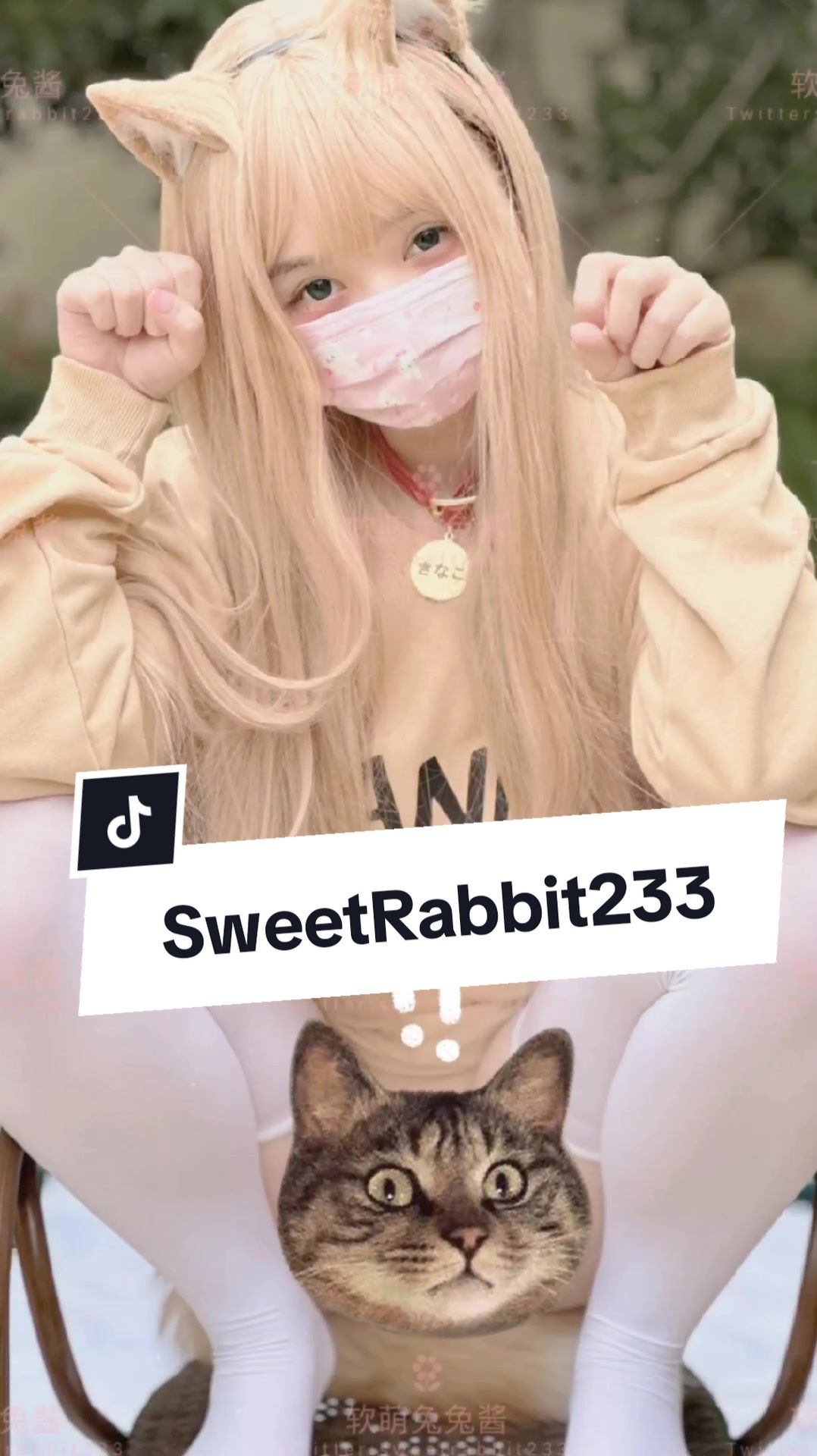 @SweetRabbit233