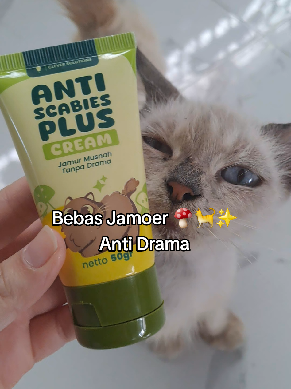 @bebymallow