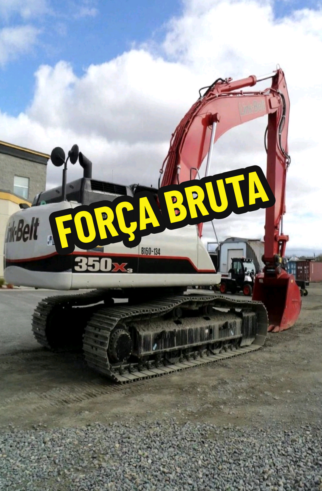 @RAIZ DO SABER