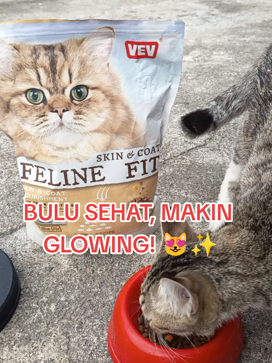 @Medayo Petcare