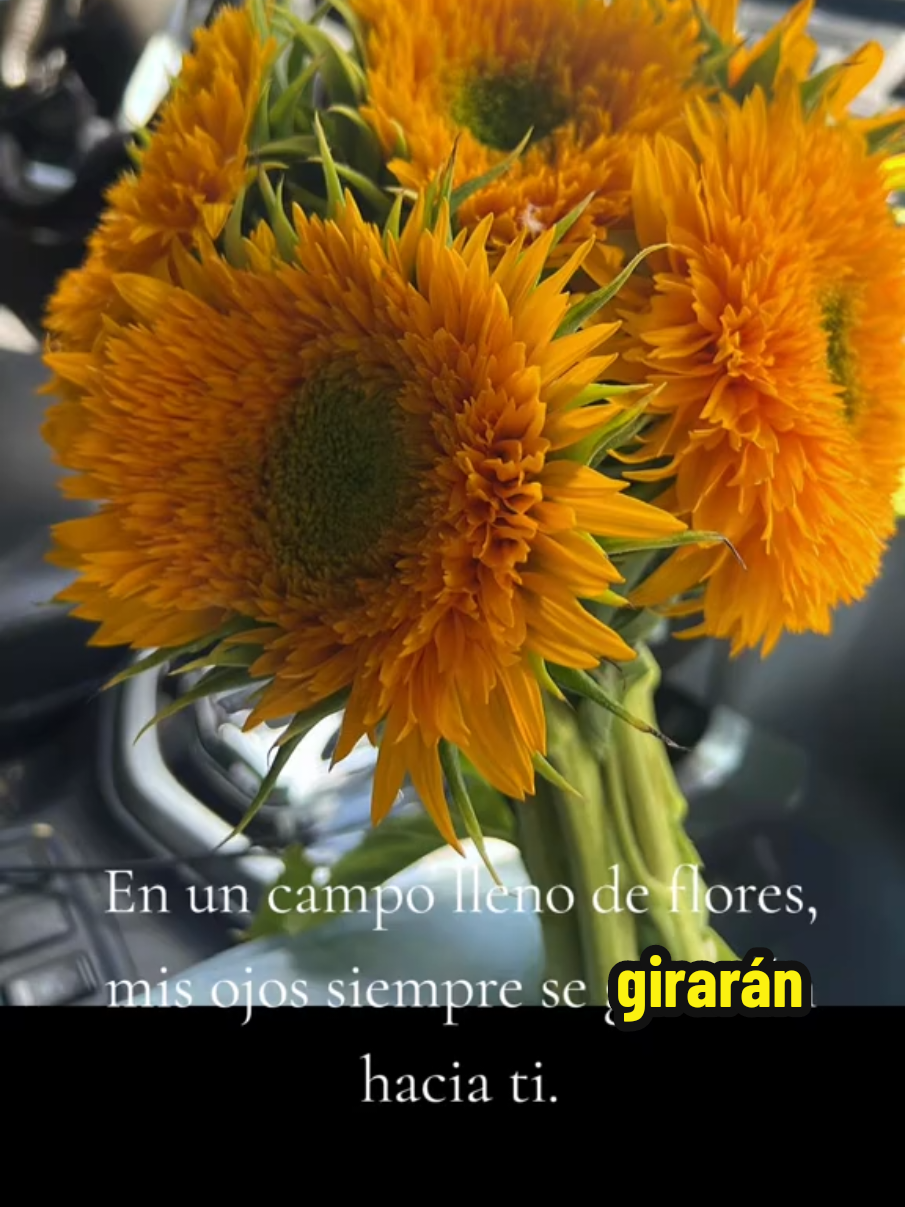 @Alejandro