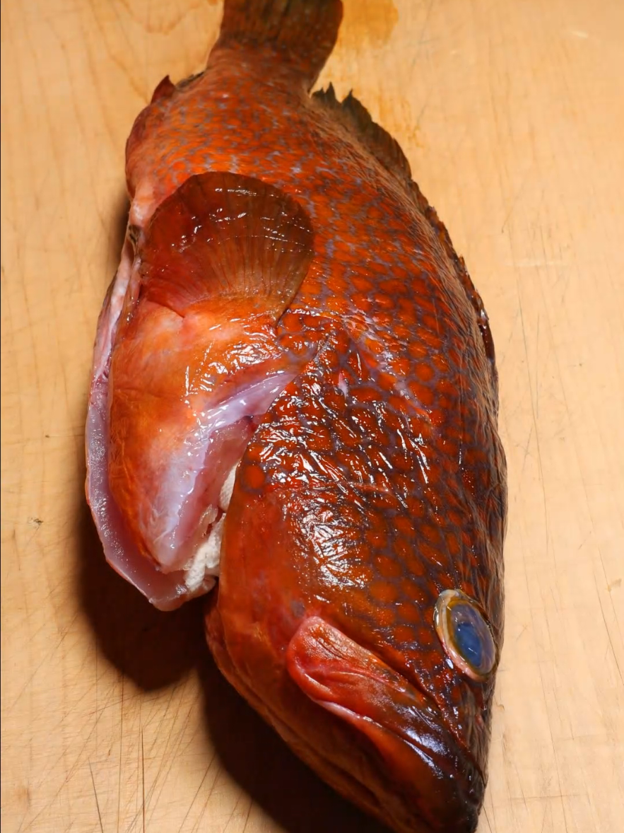 @セイゴ水産