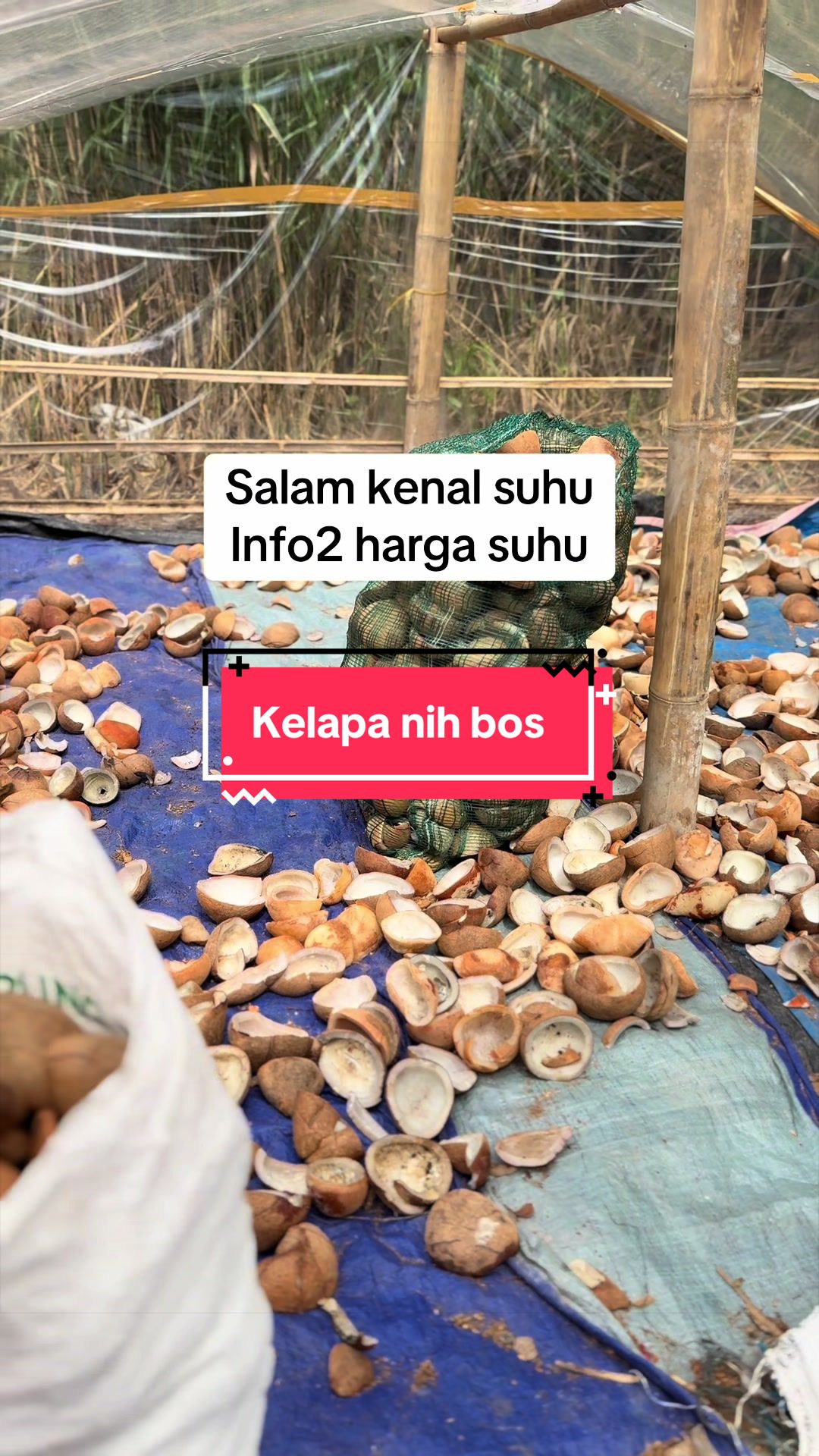 @Kang.kardus