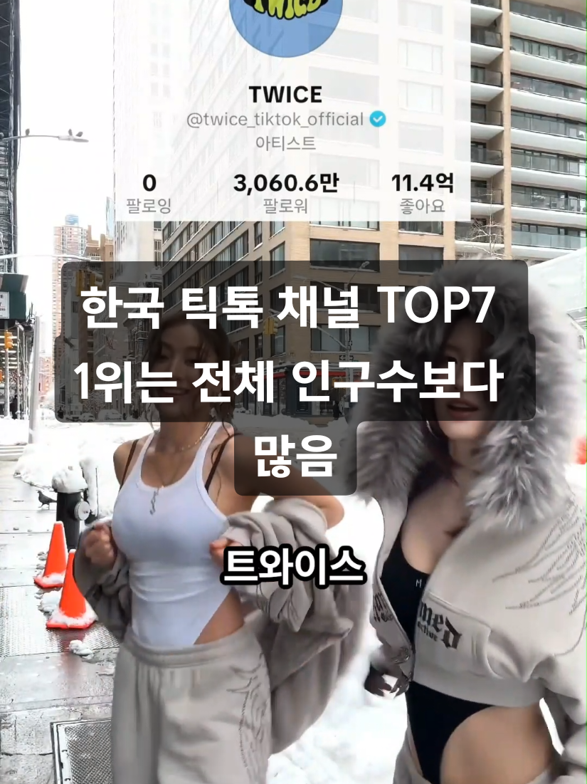 @틱톡맨