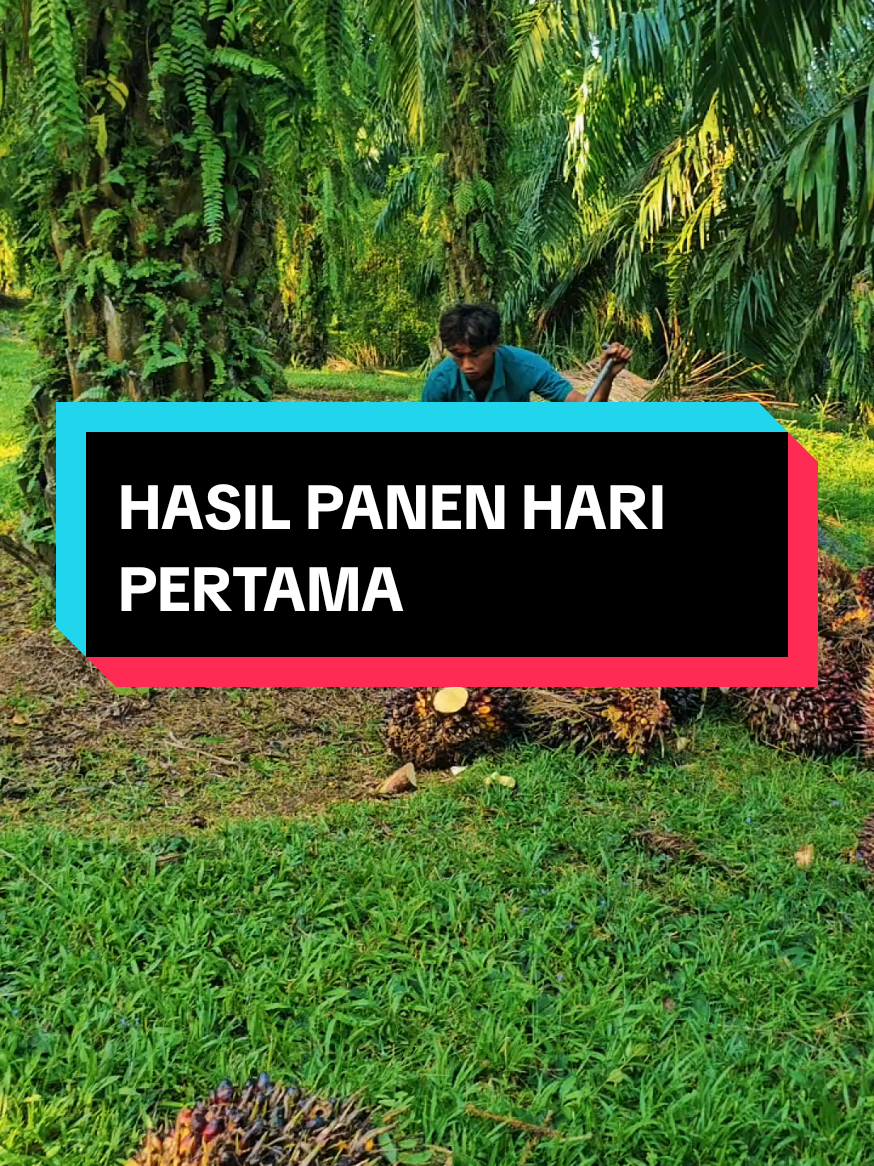 @Mr JARNAWI