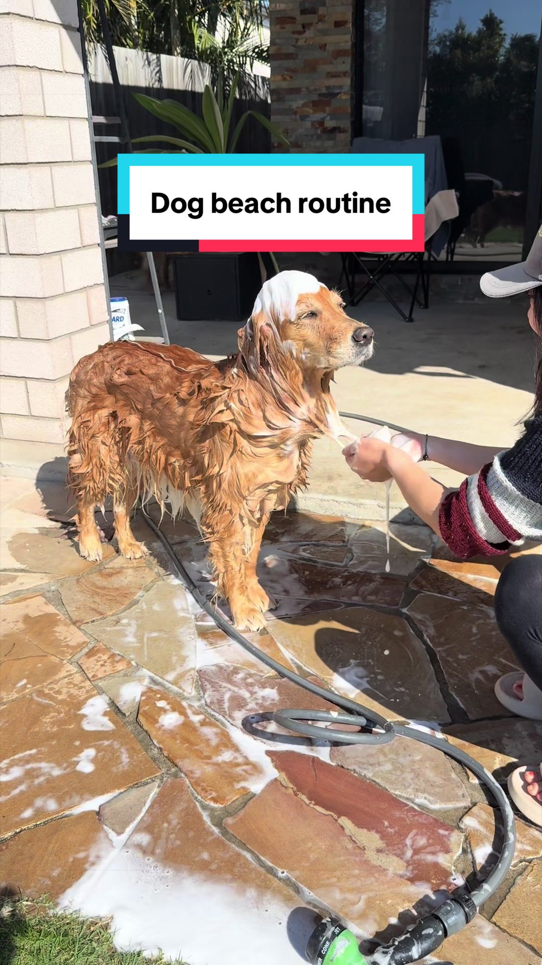 @3goldenretriever