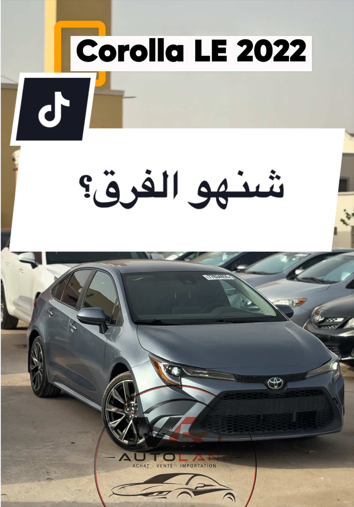 @mr_autoland