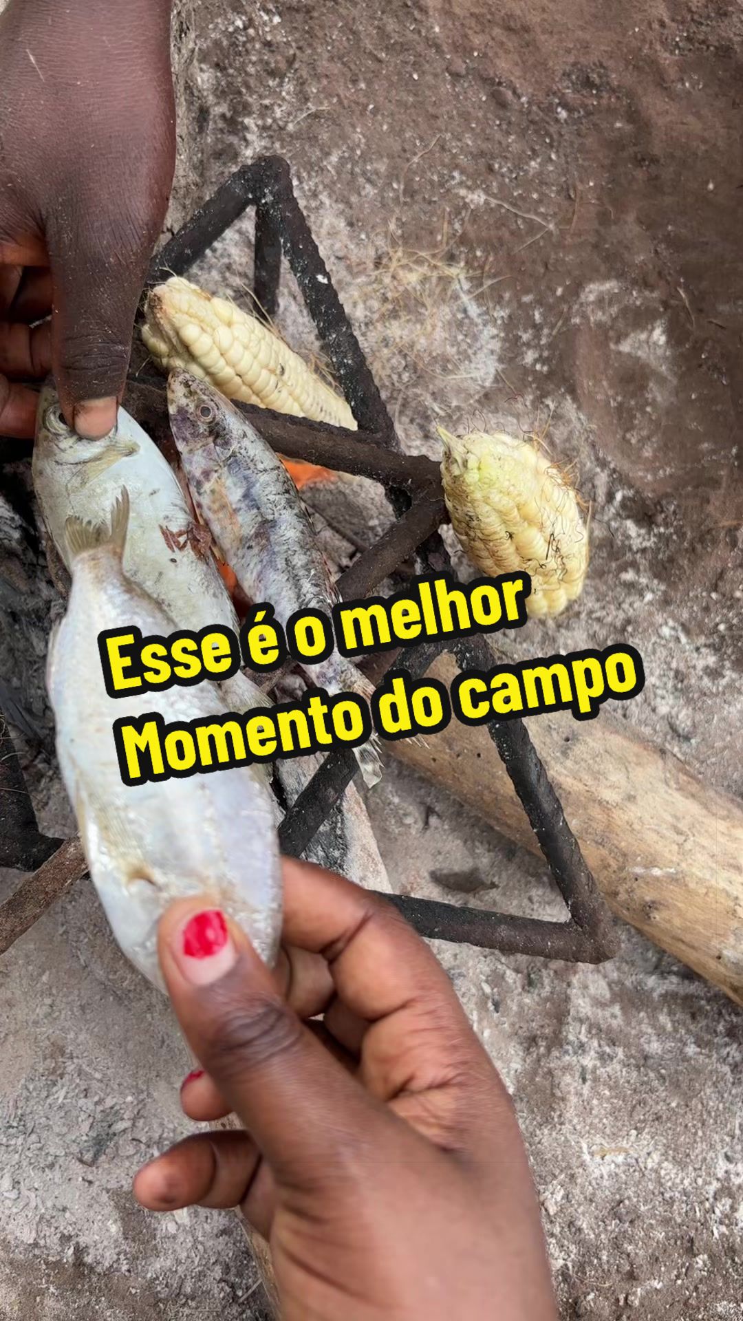 @Felicidade Gotine Firmino