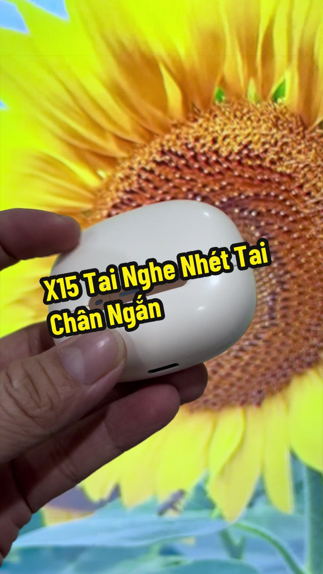@Hạt Đậu Nhỏ ☘️