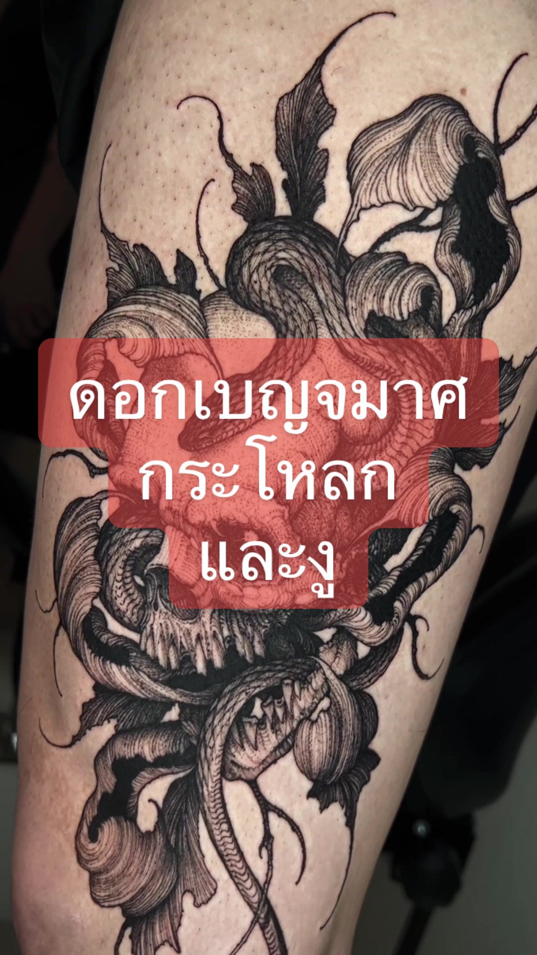 @243tattoo