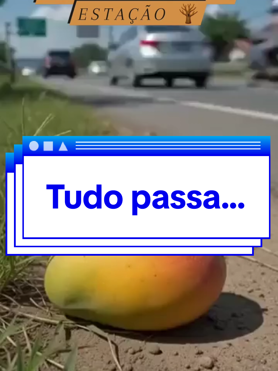 @L&Eacute;IA🌻🤍