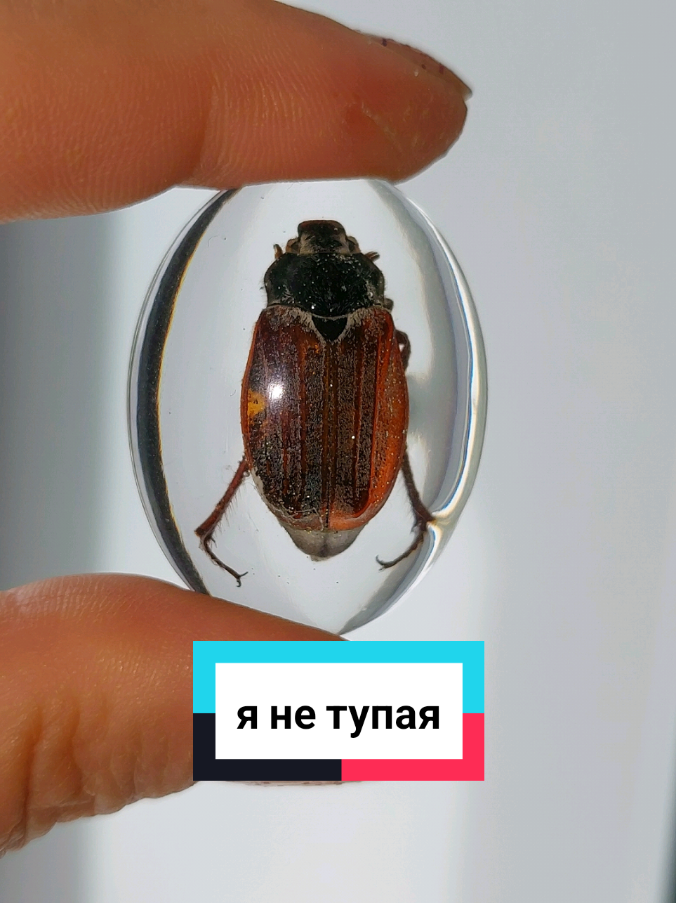 @Рыся✔️🇧🇾