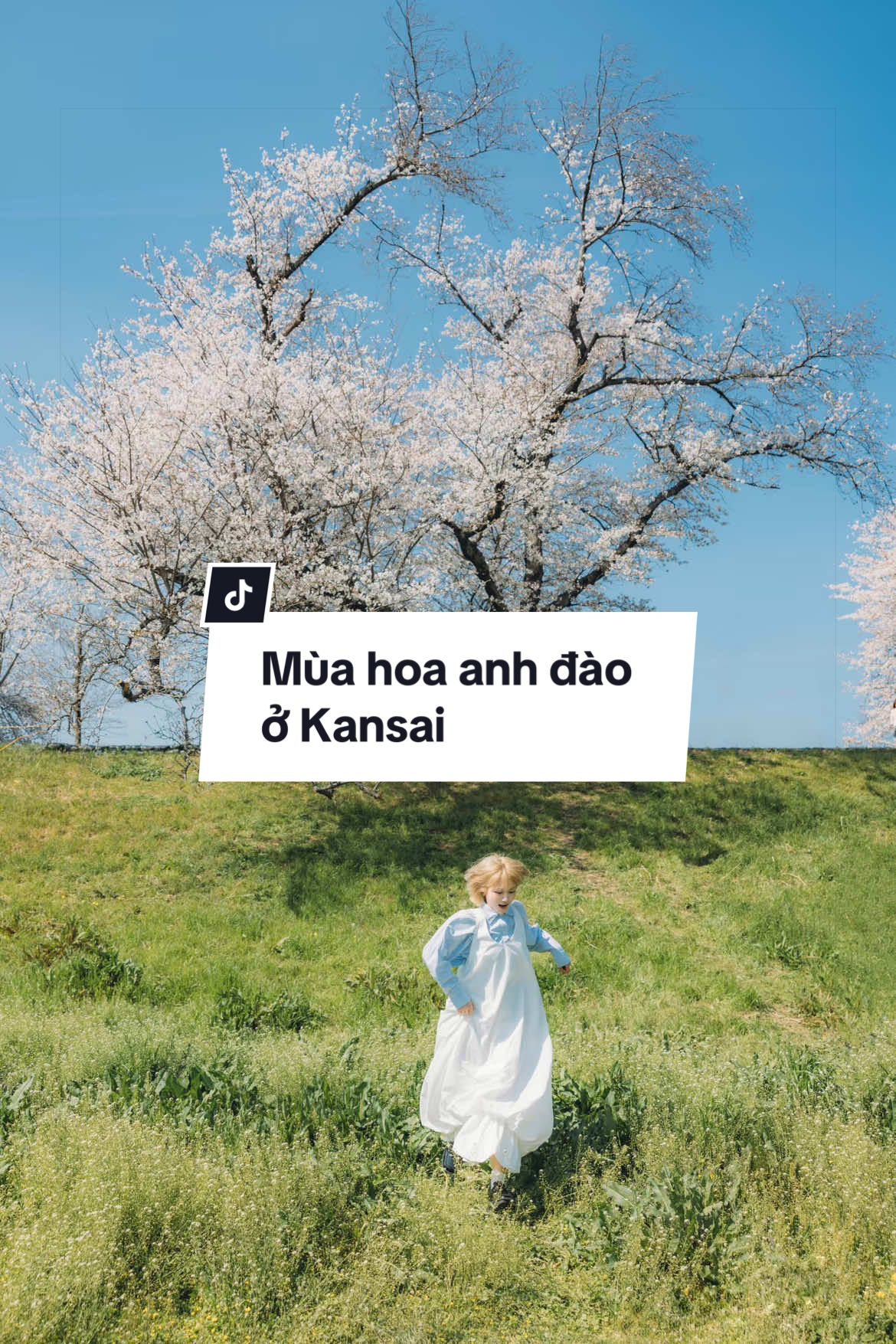 @hạ buông