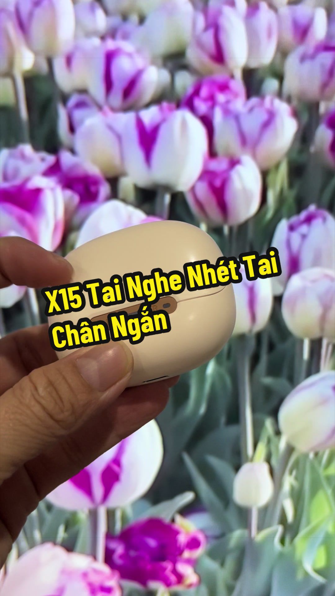 @Hạt Đậu Nhỏ ☘️