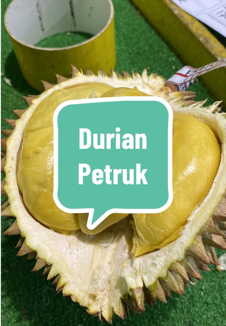 @Rumah Tamma Durian