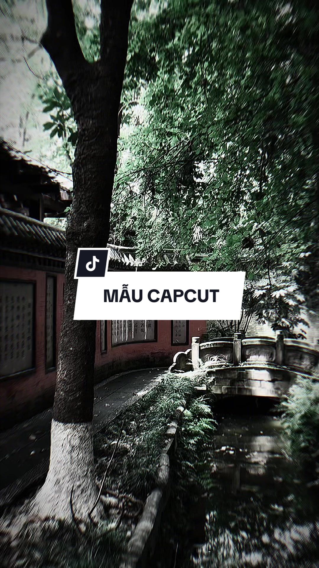 @TH&Agrave;NH TRƯỜNG ☄️