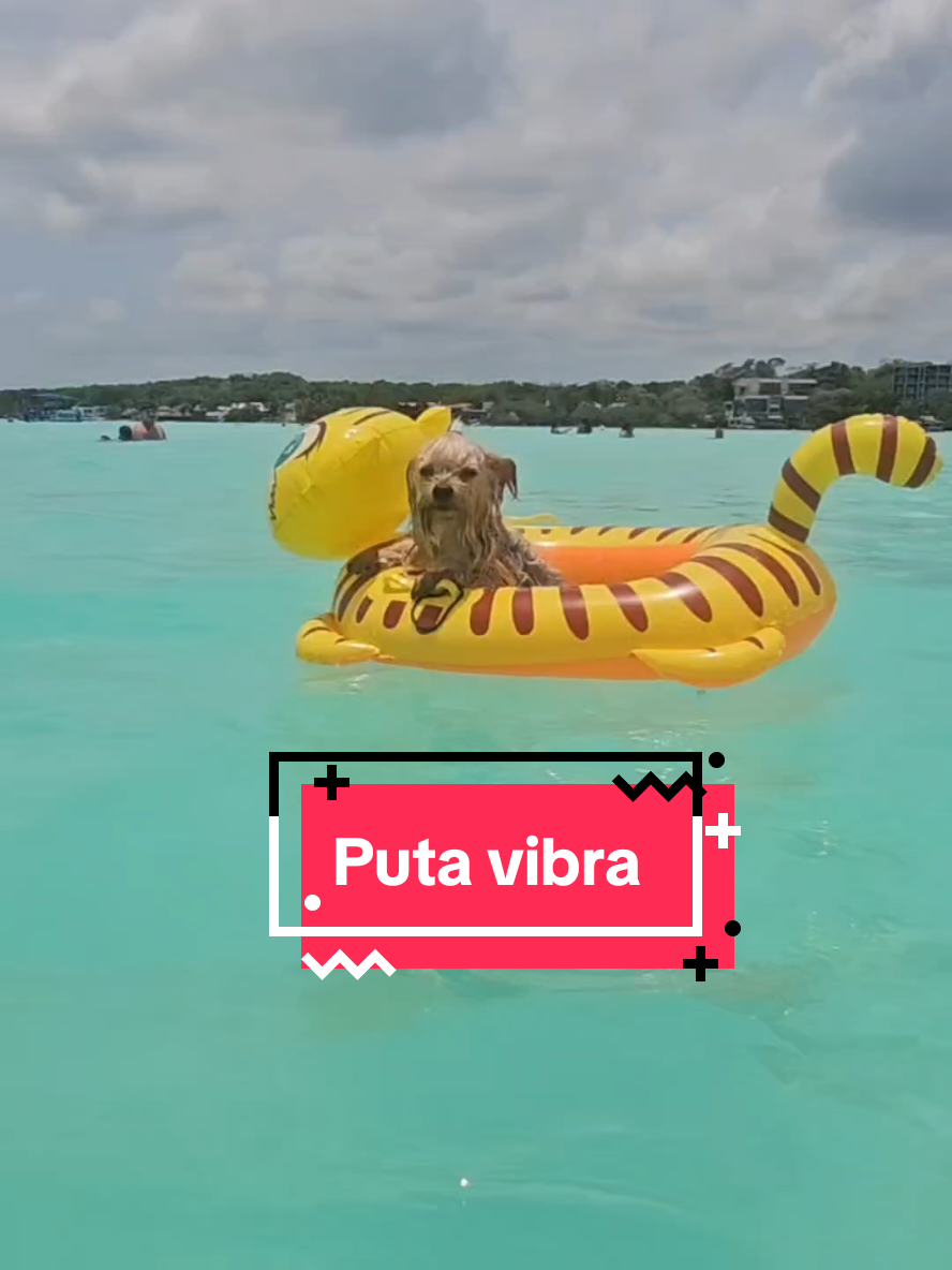 @abrilita