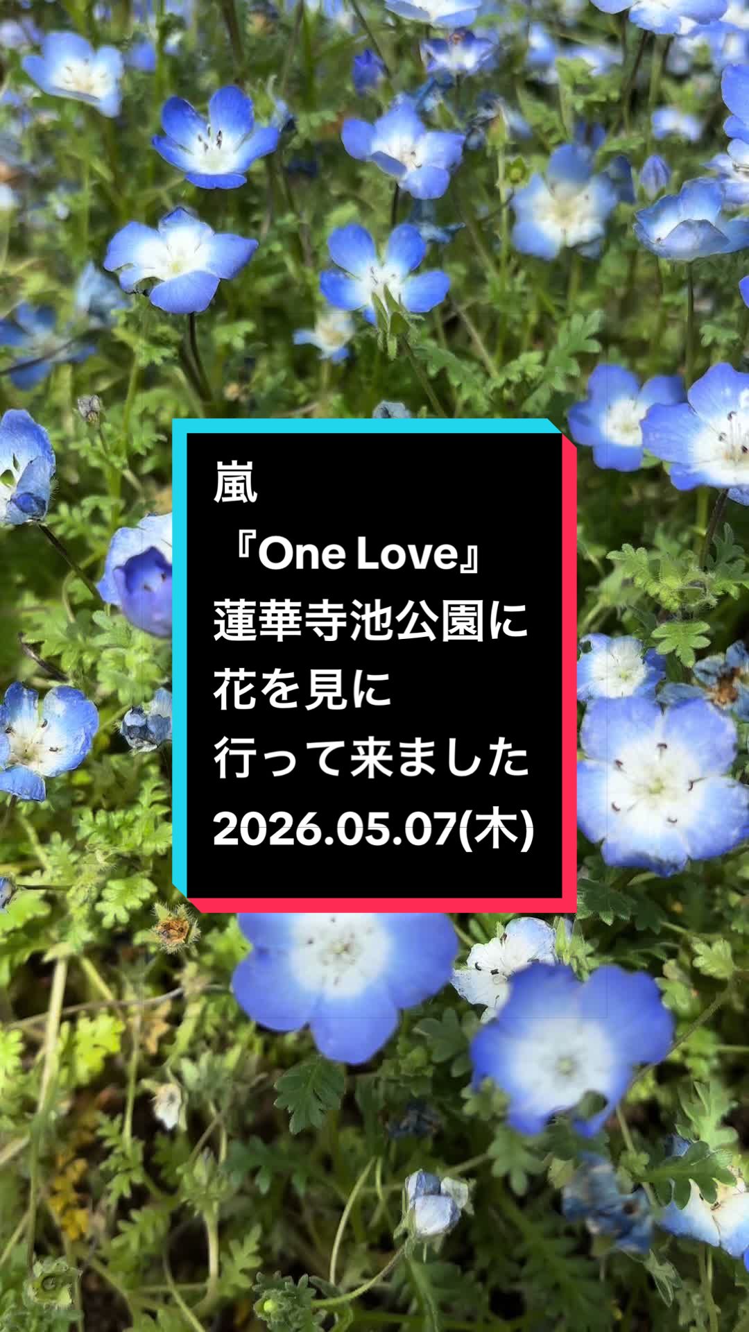@ゆる