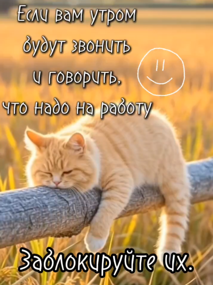 @Ольга