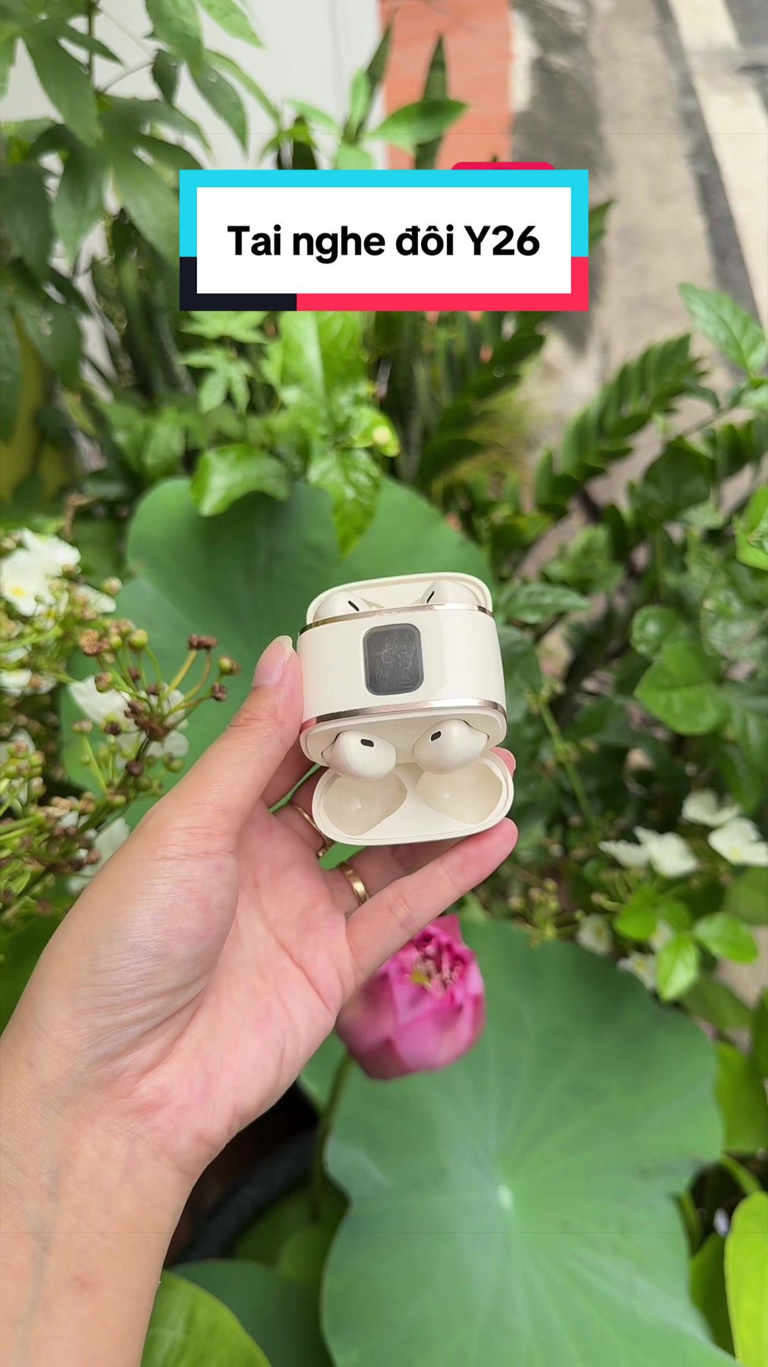 @Tuấn B&igrave;nh Thường