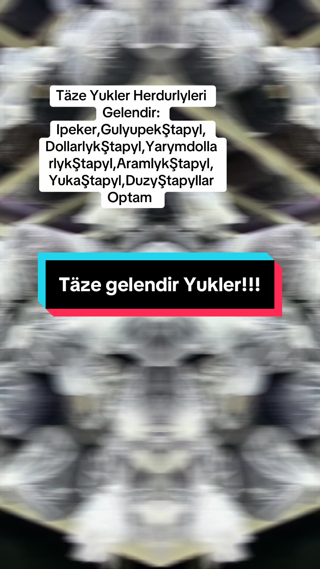 @Birinji el Optam Stapyllar1