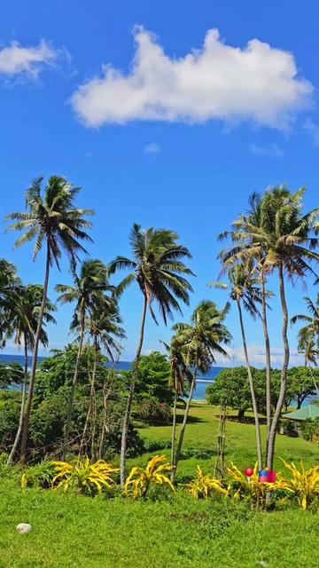 @teinemelody 🇼🇸🇫🇯✨️