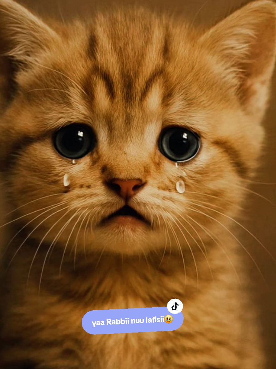 @𝐋𝐨𝐳𝐢𝐢 ❷𝐭𝐡..🌿