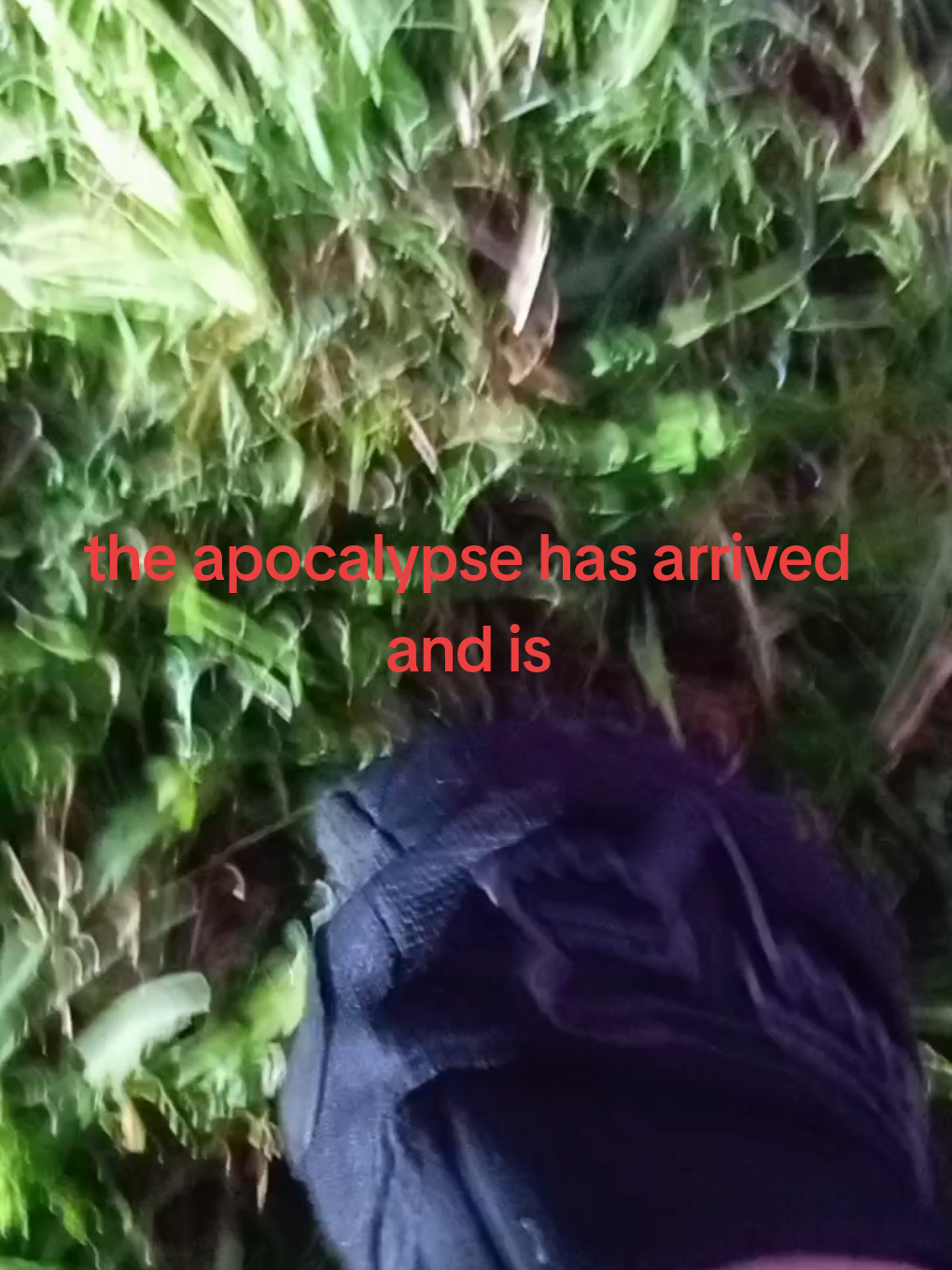 @qizter