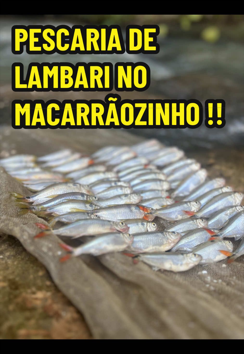 @Gabriel na pesca 🎣