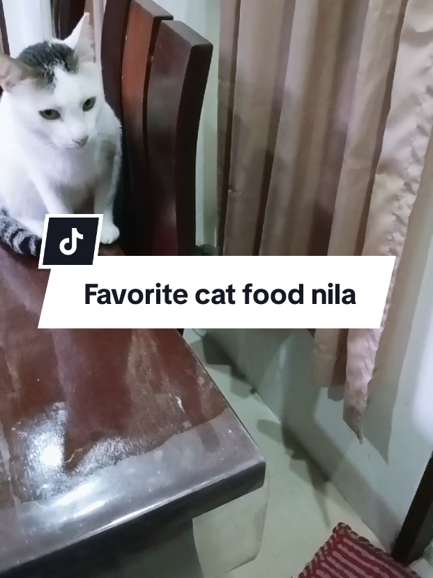 @inday alicia