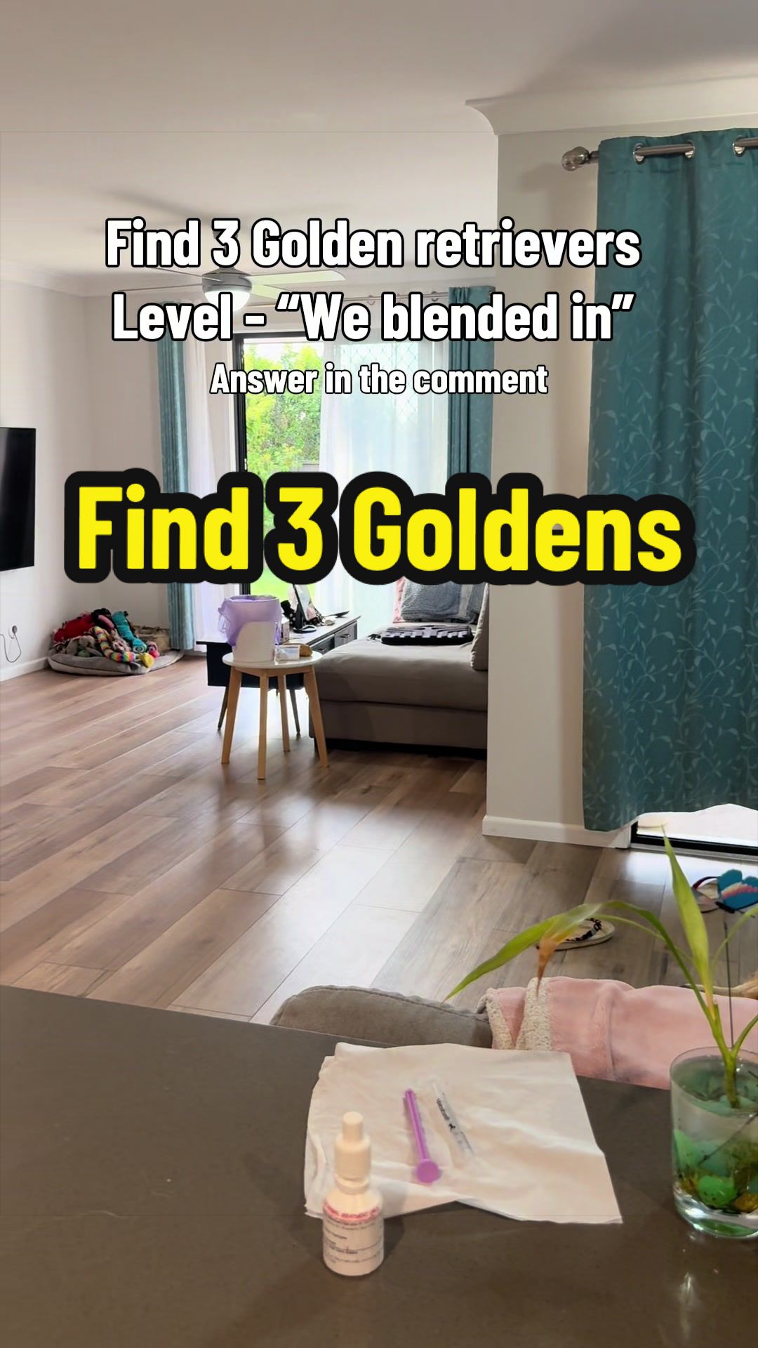 @3goldenretriever
